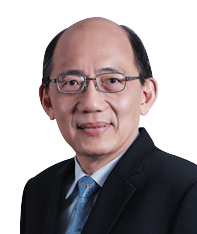 Professor <br> Lim Seh Chun